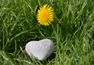 heart-shaped black stone on green grass